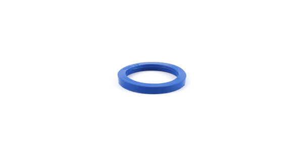 SMS gasket / sealing ring EPDM 2